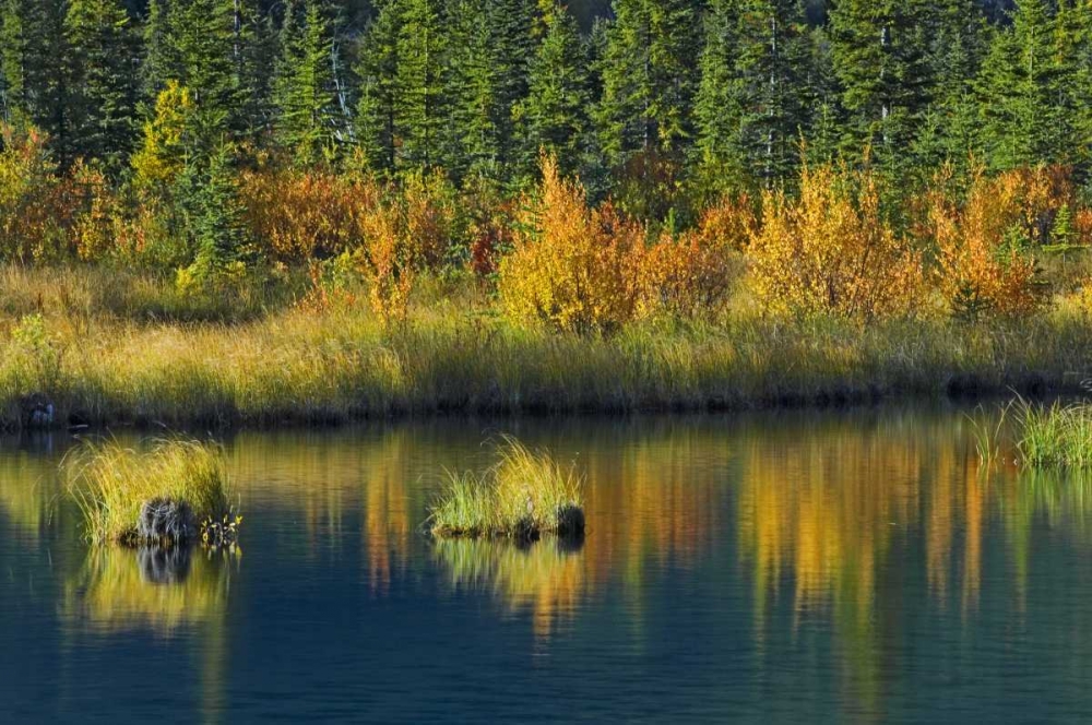 Canada, Banff NP Vermillion Lake in fall art print by Mike Grandmaison for $57.95 CAD